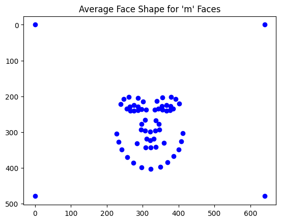 Average Shape M Faces